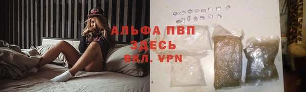 молекула духа Ростов