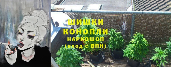молекула духа Ростов