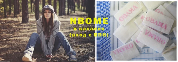 дмт Рославль